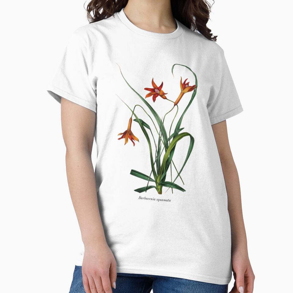 Vintage Botanical Flowers Barbacenia squamata by ambystomatees