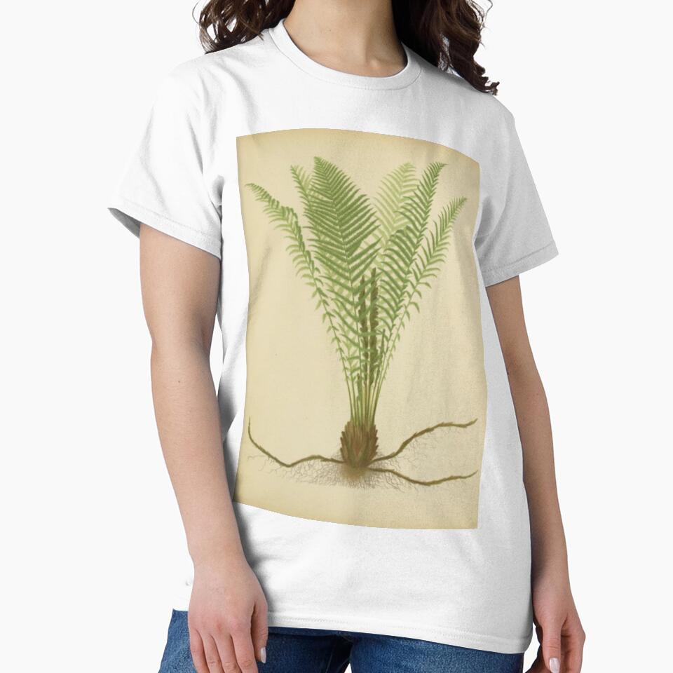 Ostrich Fern by BlueSpecsStudio