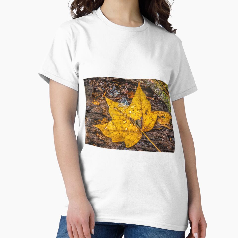 Golden by passion4photos