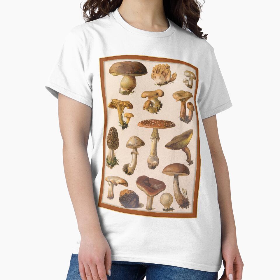 Variety of Botanical Mushrooms by Tridentulus
