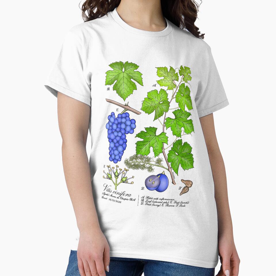 Grape Botanical Plate by LucasKias