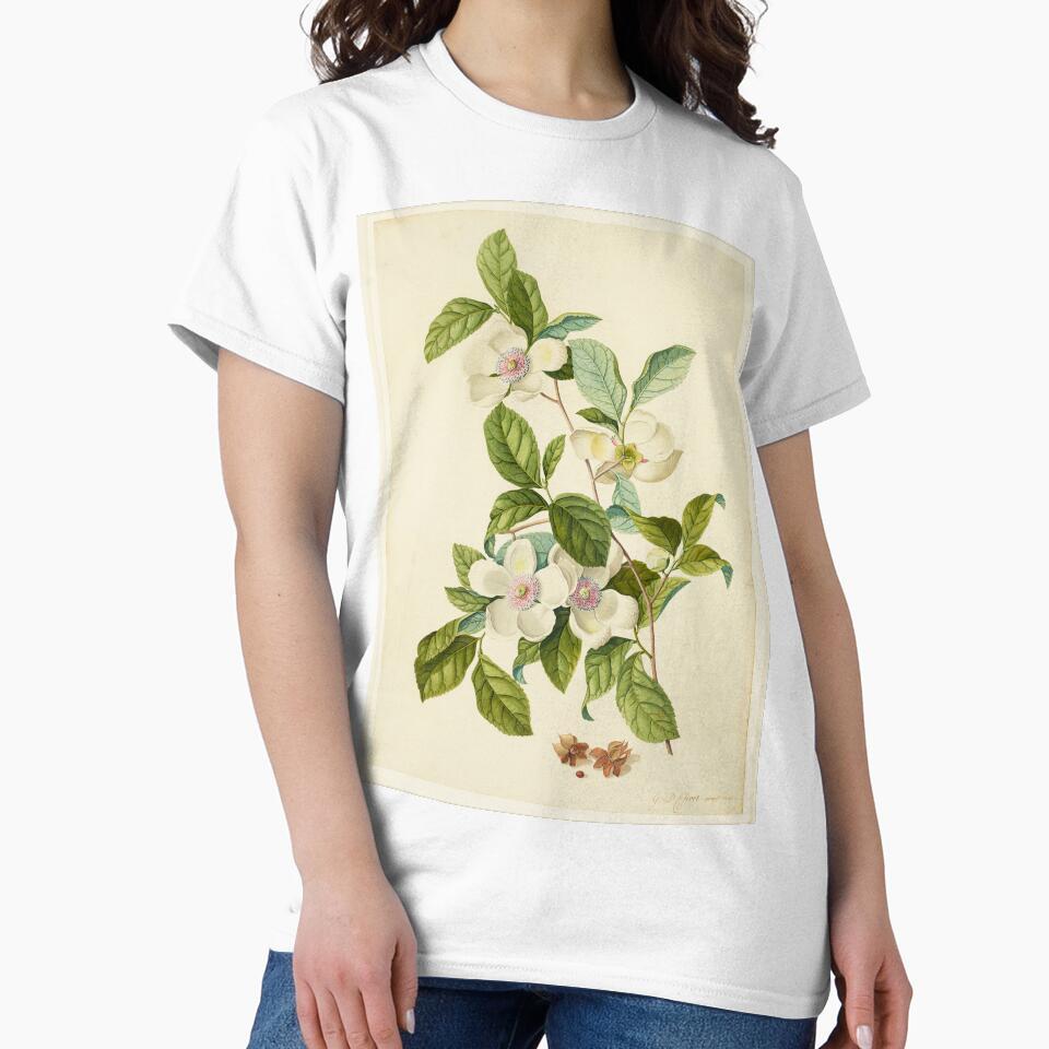 Silky Camellia - Stewartia malacodendron by FloraObscura