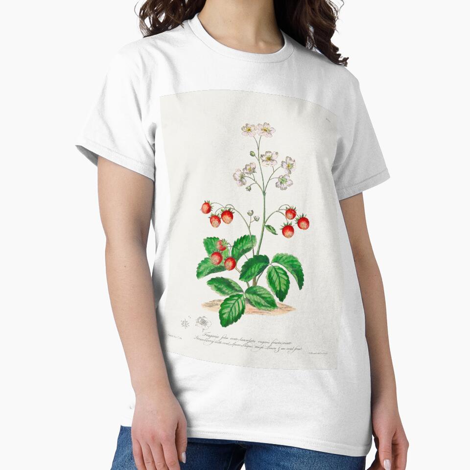 Strawberry Plants | Strawberry Antique Botanical Illustration by TeeARTHY