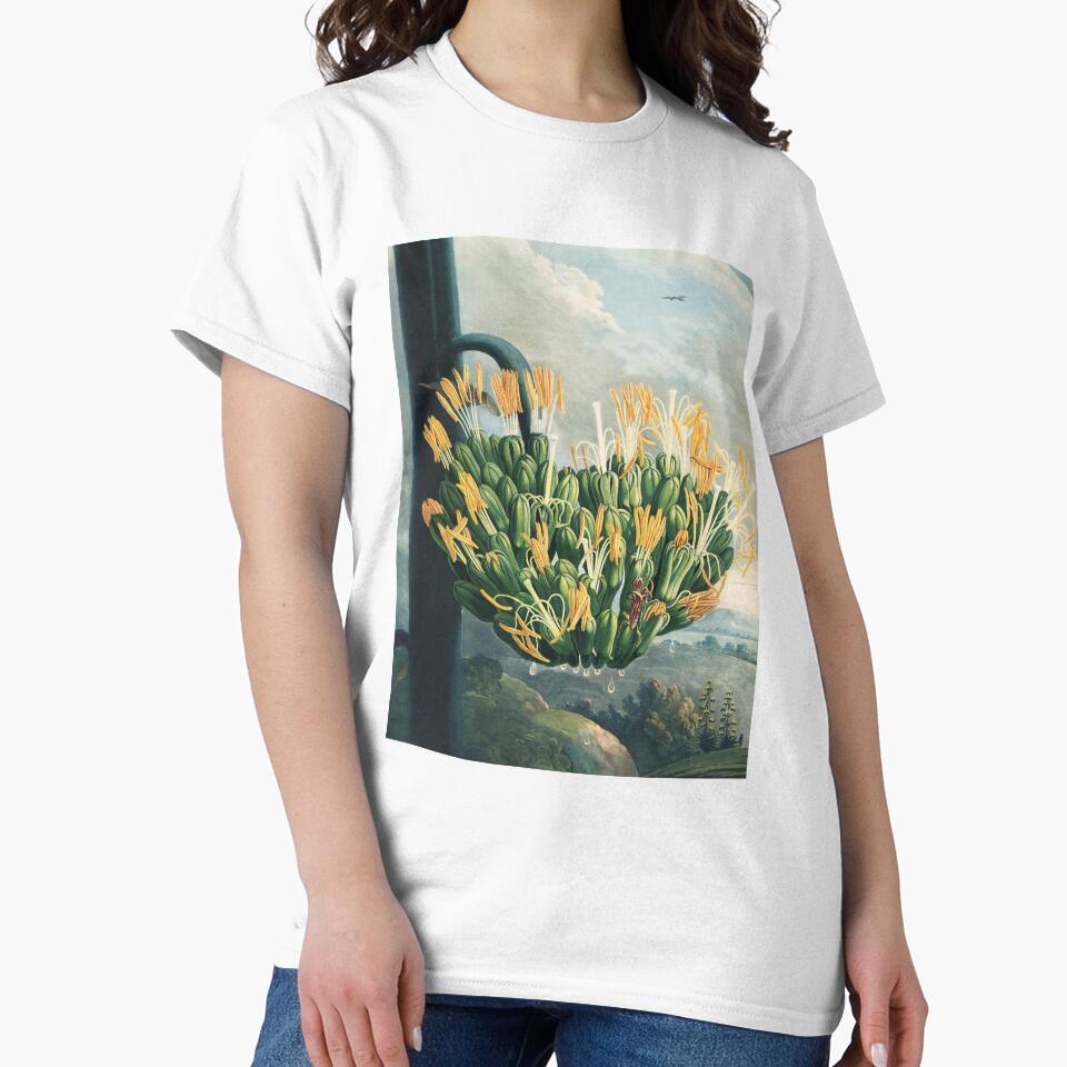 Vintage Agave Botanical Illustration by Robert John Thornton by InnerCitadel