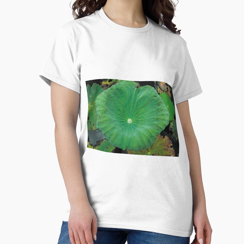 Lotus leaf by March Rider