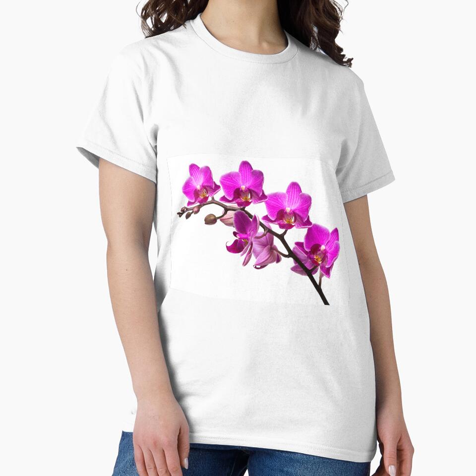 Pretty Purple Orchid Flowers by cindyfordyce