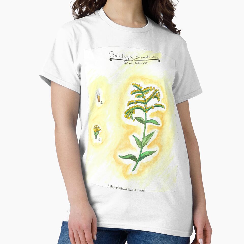 Solidago canadensis (Canada Goldenrod) by fhandsmcmike
