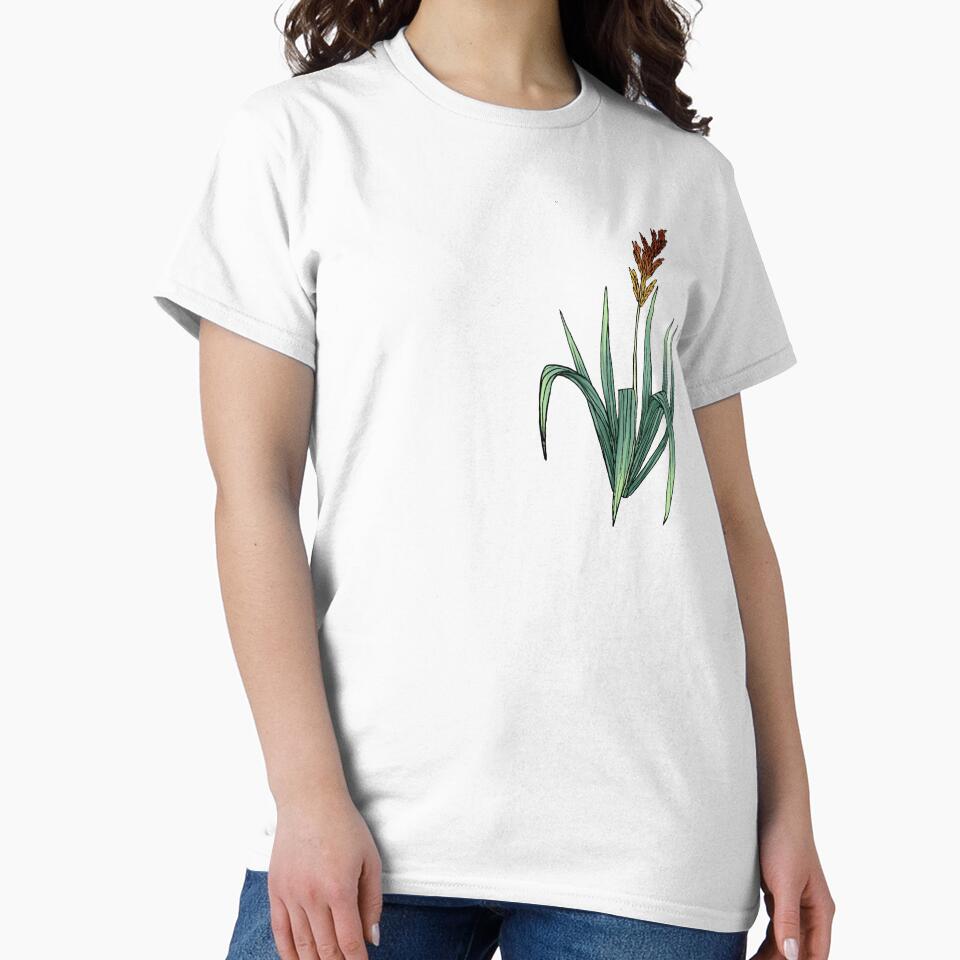 Sorghastrum nutans - Indian grass by Aspen Workman