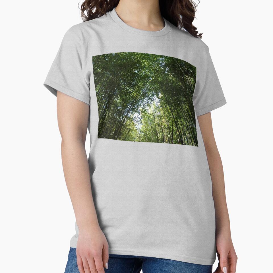 Bamboo Canopy by GardenArtworks