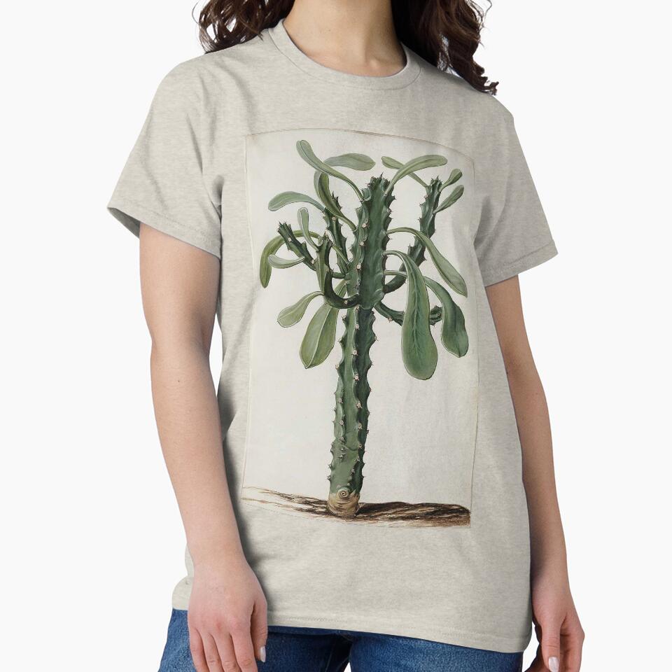 Euphorbia by Jan Moninckx by Hanna Hanuman