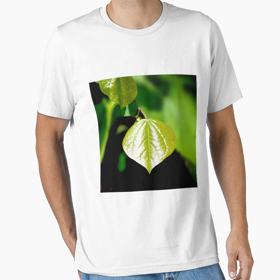 Single Green Leaf by dawnella