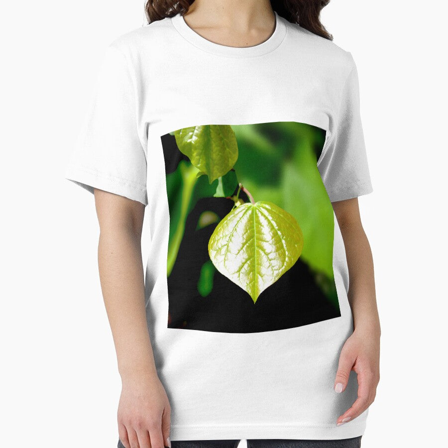 Single Green Leaf by dawnella