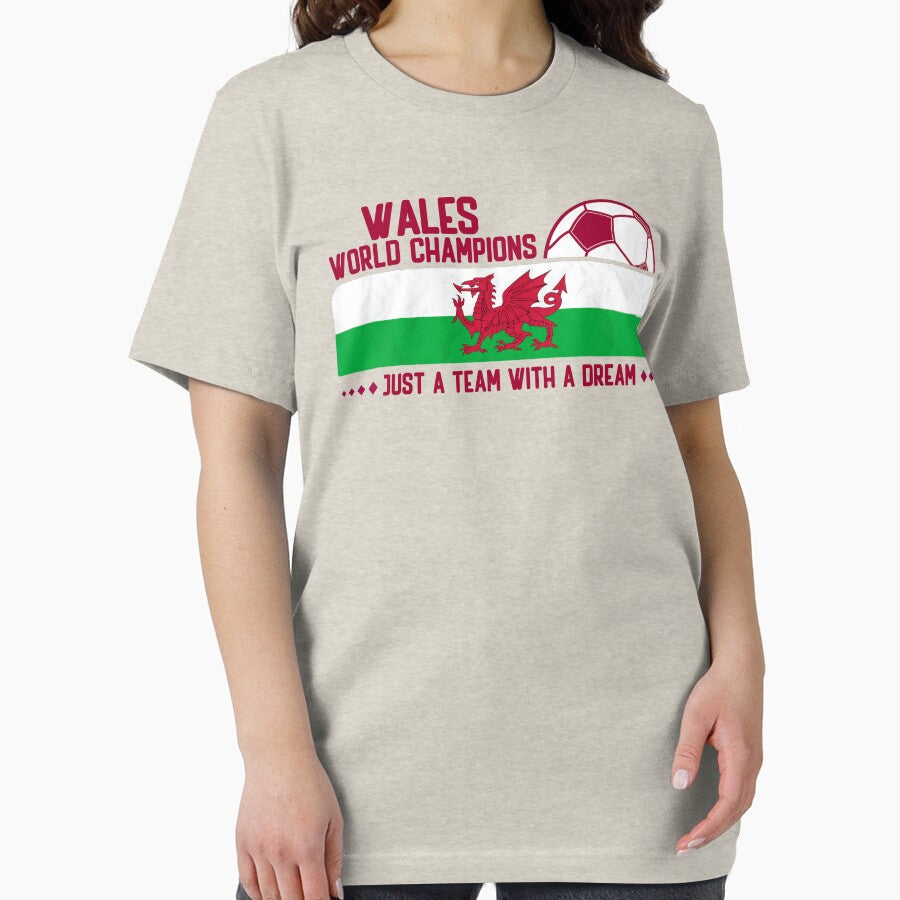 Wales Soccer Team for Football Fans and Soccer Lovers by Dexter Freeman