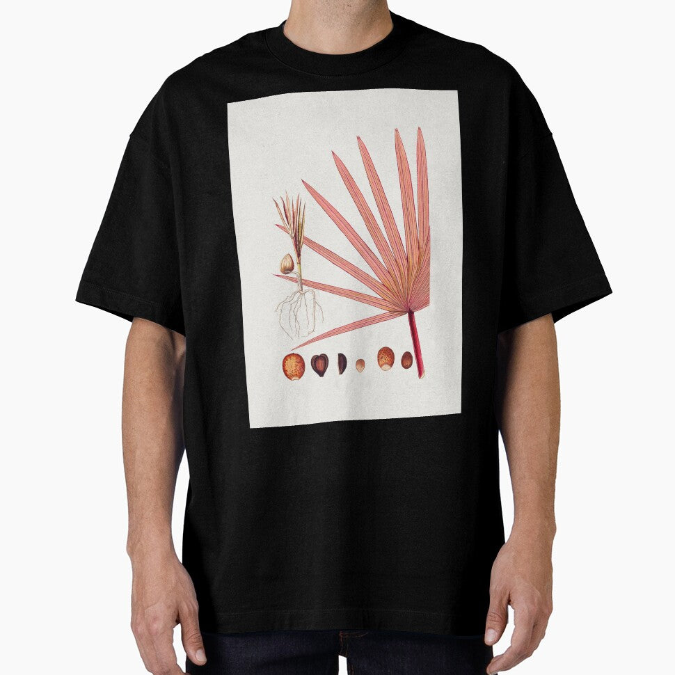 Remastered Hand drawn red latan palm. Original from Biodiversity Heritage Library. by FineArt Rewind