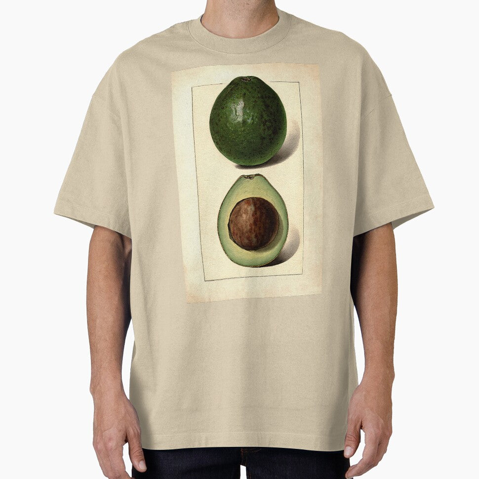 Vintage Botanical Fruit painting Wagner Avocado by Glimmersmith