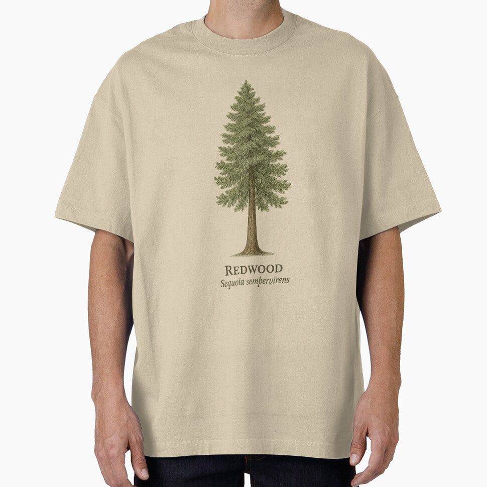 Redwood Botanical Illustration – Sequoia sempervirens by BloomKind