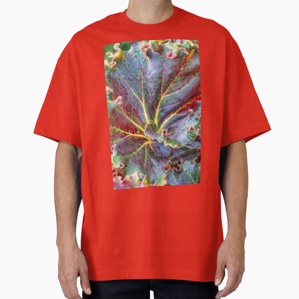 Red and Purple Leaf by Carolyn's Captures - Original Photohgraphy