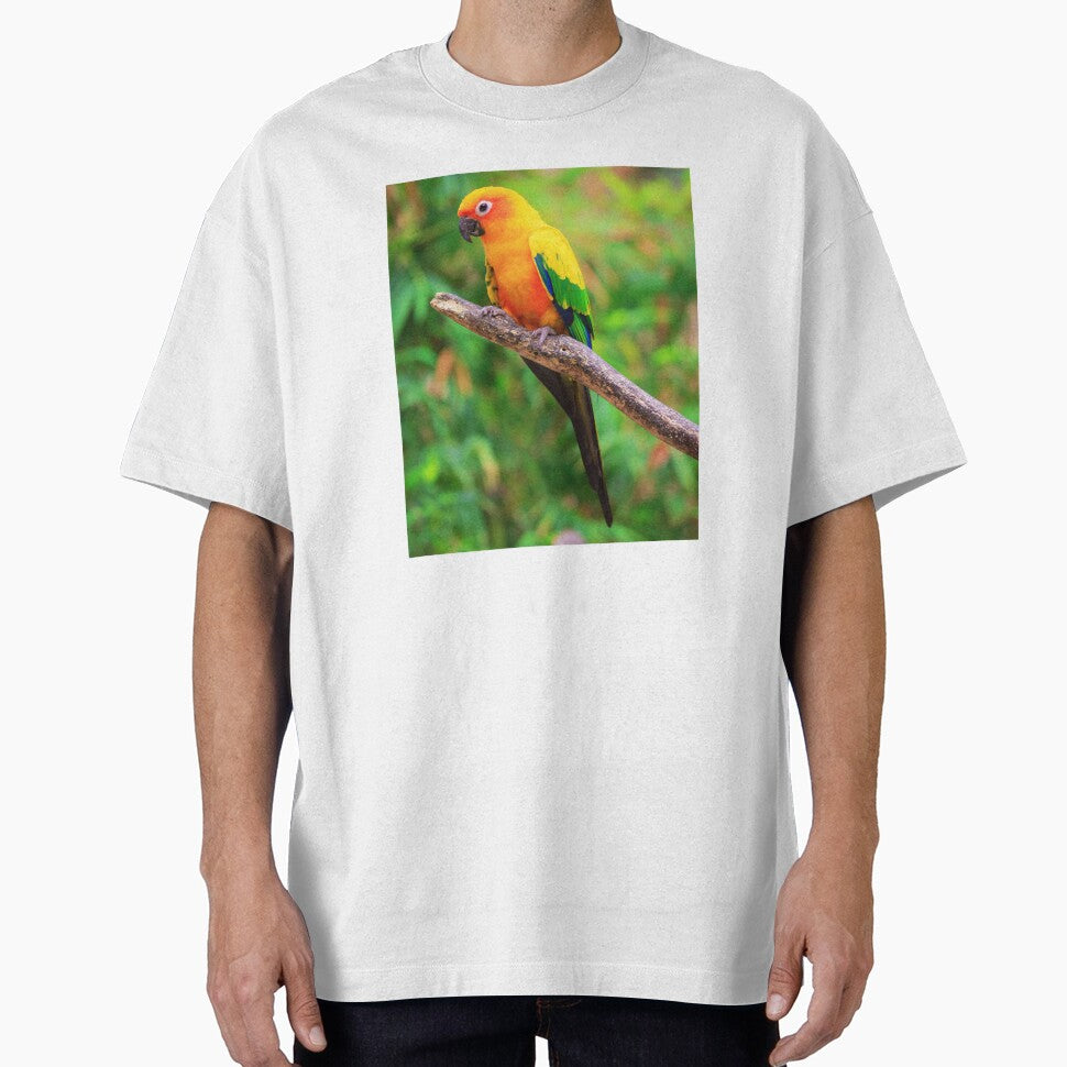 Sun Conure Photo by TheAnimalZ00