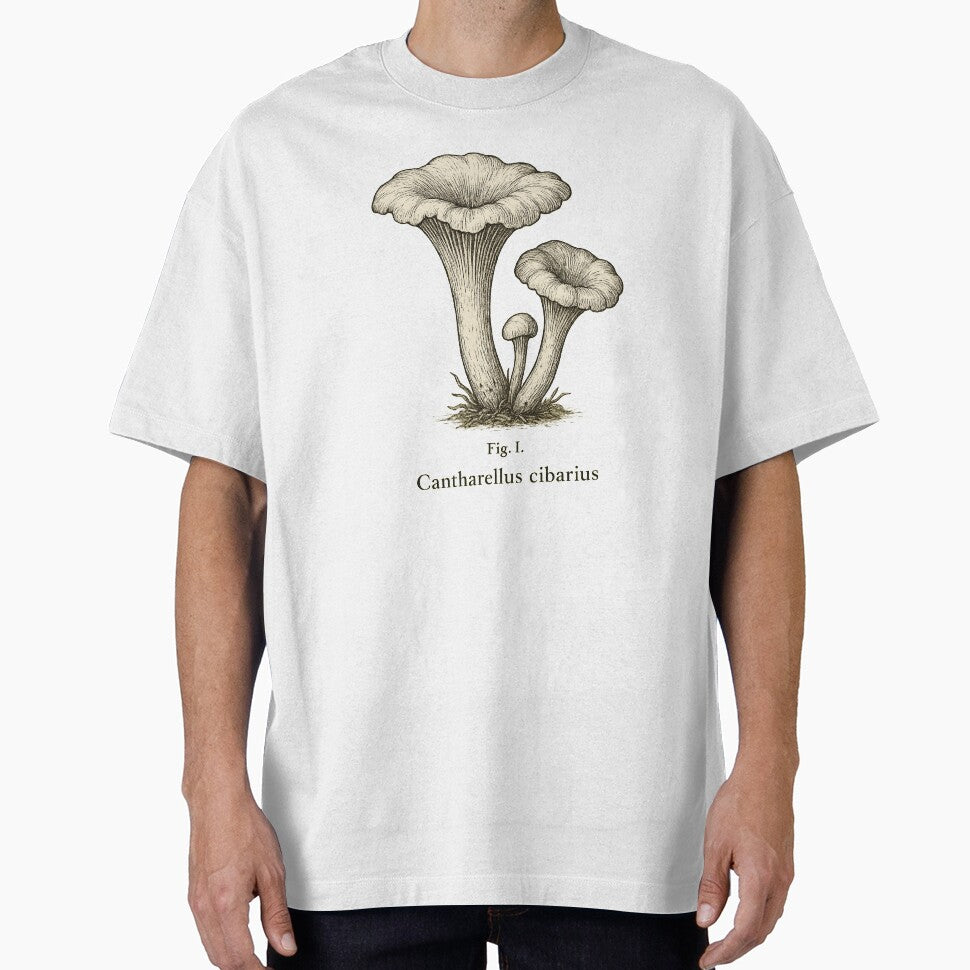 Cantharellus cibarius Chanterelle Mushroom Illustration by Graphics4X