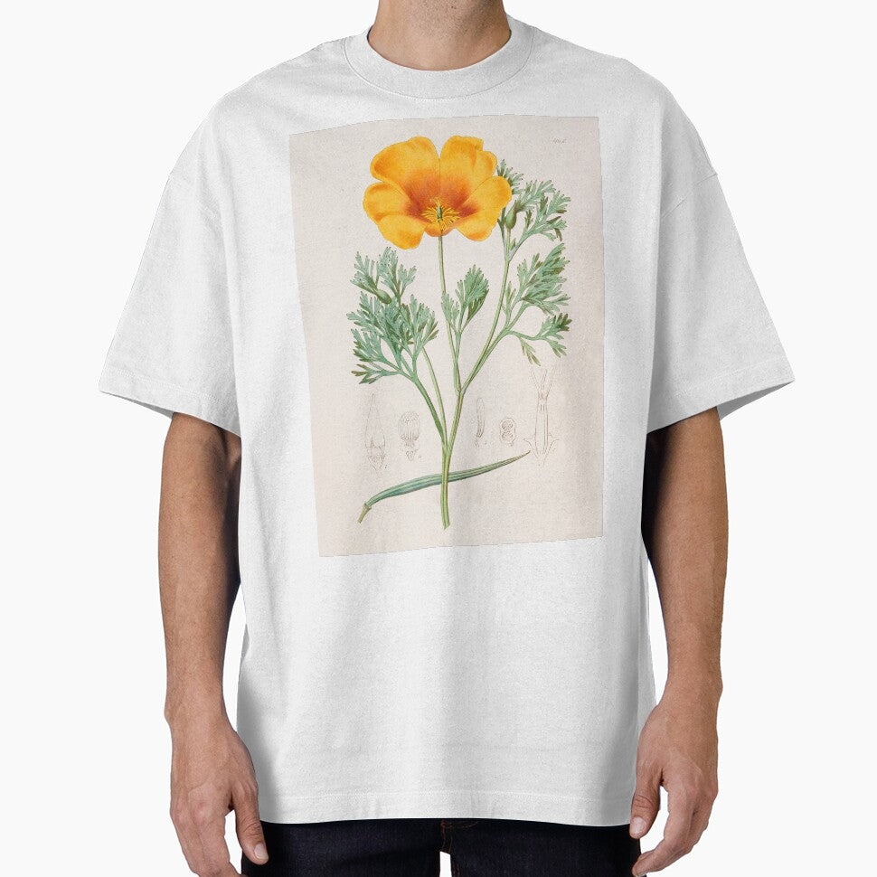 California Poppy - Eschscholzia californica by FloraObscura