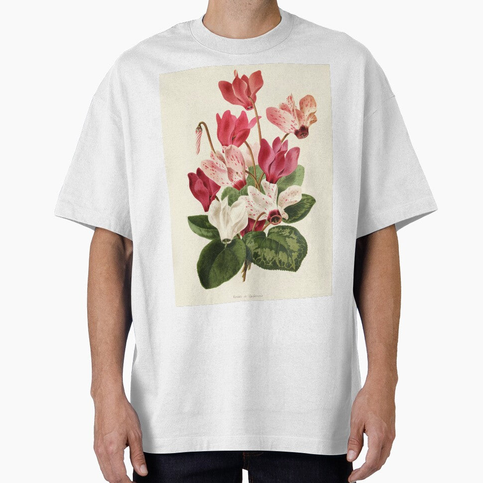 Cyclamen Botanical Illustration by FloraObscura