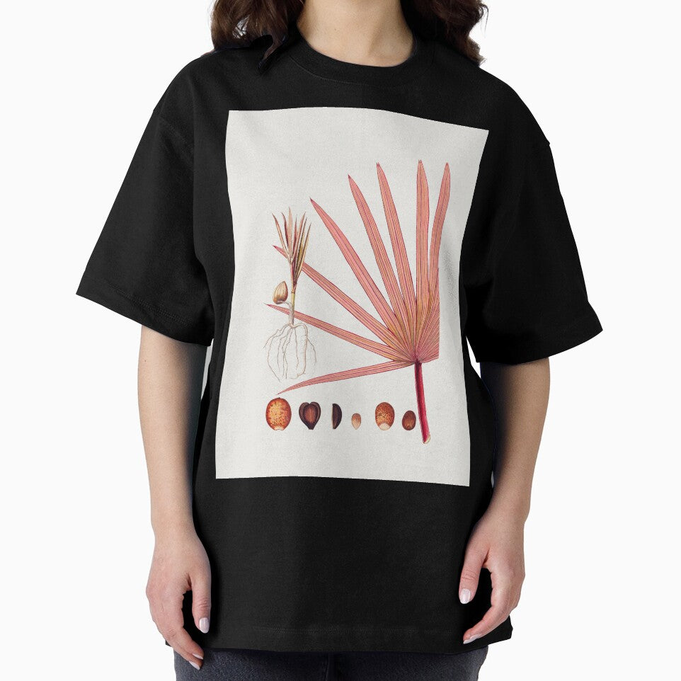 Remastered Hand drawn red latan palm. Original from Biodiversity Heritage Library. by FineArt Rewind