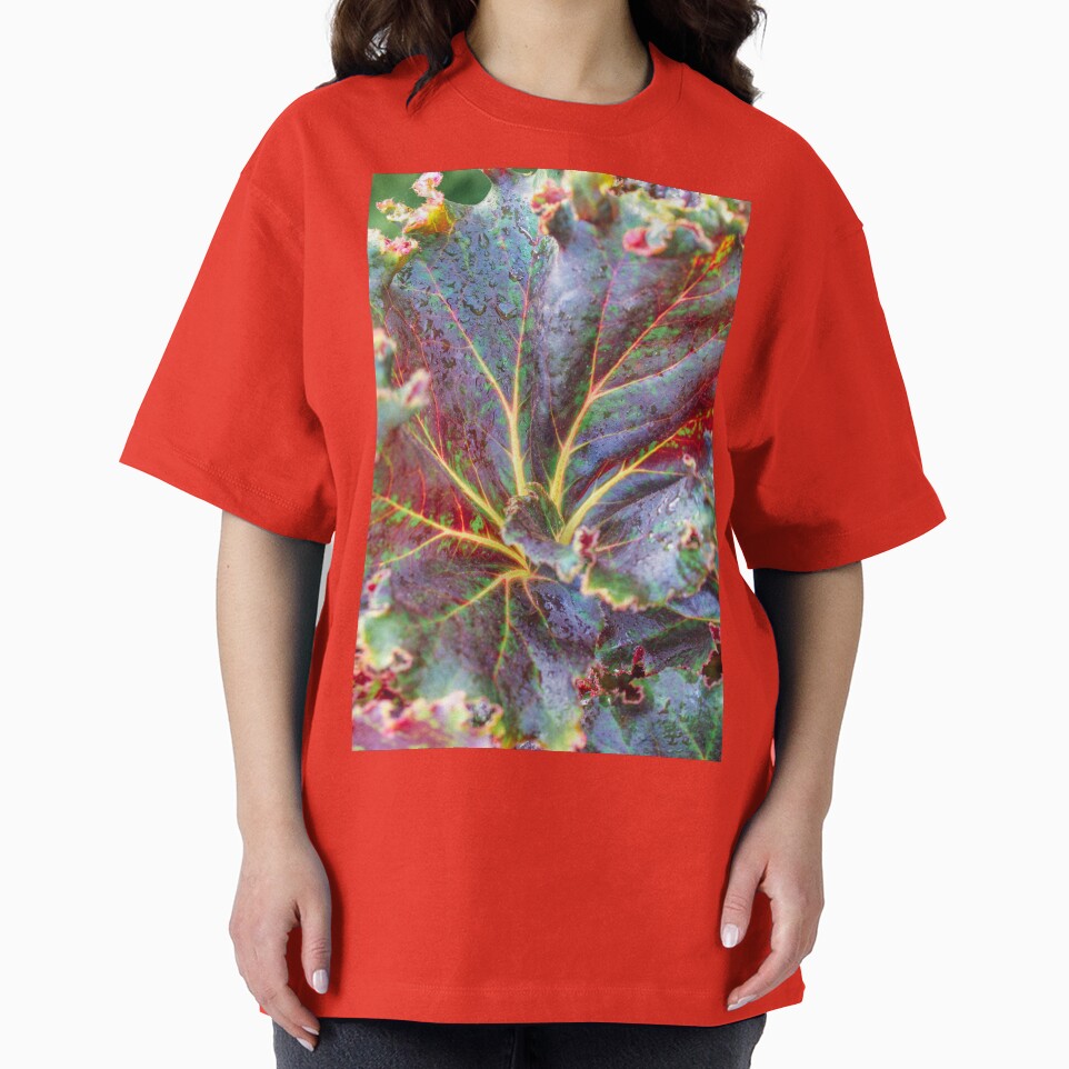 Red and Purple Leaf by Carolyn's Captures - Original Photohgraphy