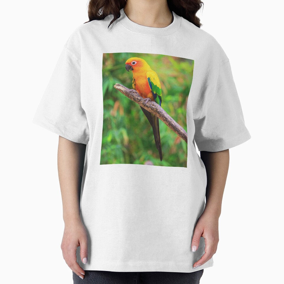 Sun Conure Photo by TheAnimalZ00