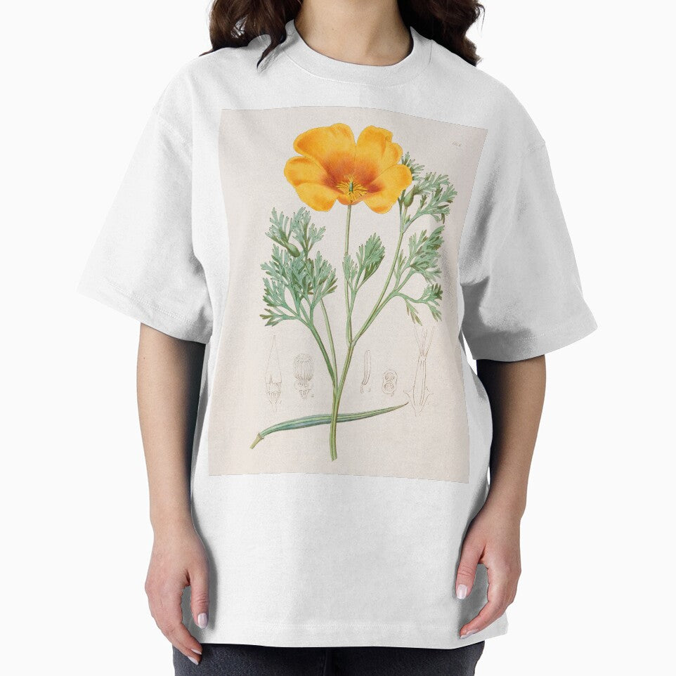 California Poppy - Eschscholzia californica by FloraObscura