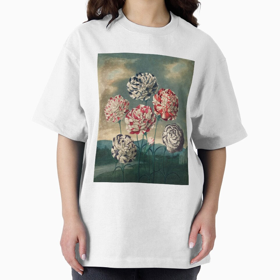Vintage Botanical Painting A Group of Carnations by Robert John Thornton by InnerCitadel