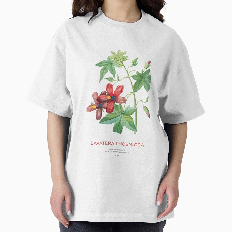 Lavatera Phoenicea or Phoenician mallow flower by Vintagrafica