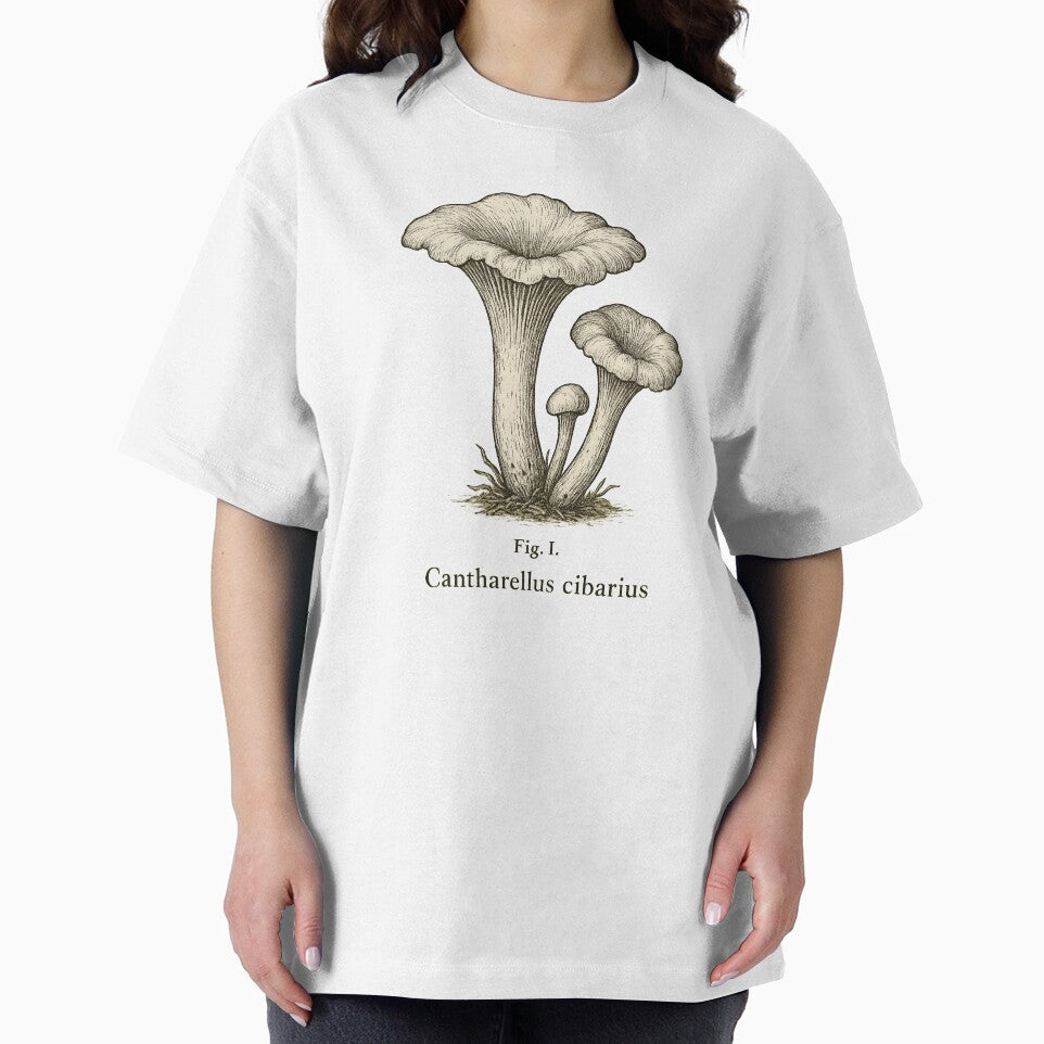 Cantharellus cibarius Chanterelle Mushroom Illustration by Graphics4X