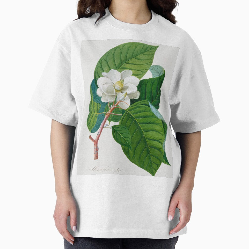 Magnolia grandiflora Botanical Illustration by FloraObscura