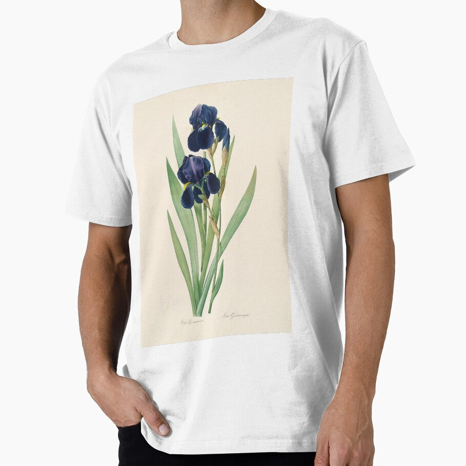 Iris germanica - Bearded Iris Illustration by FloraObscura