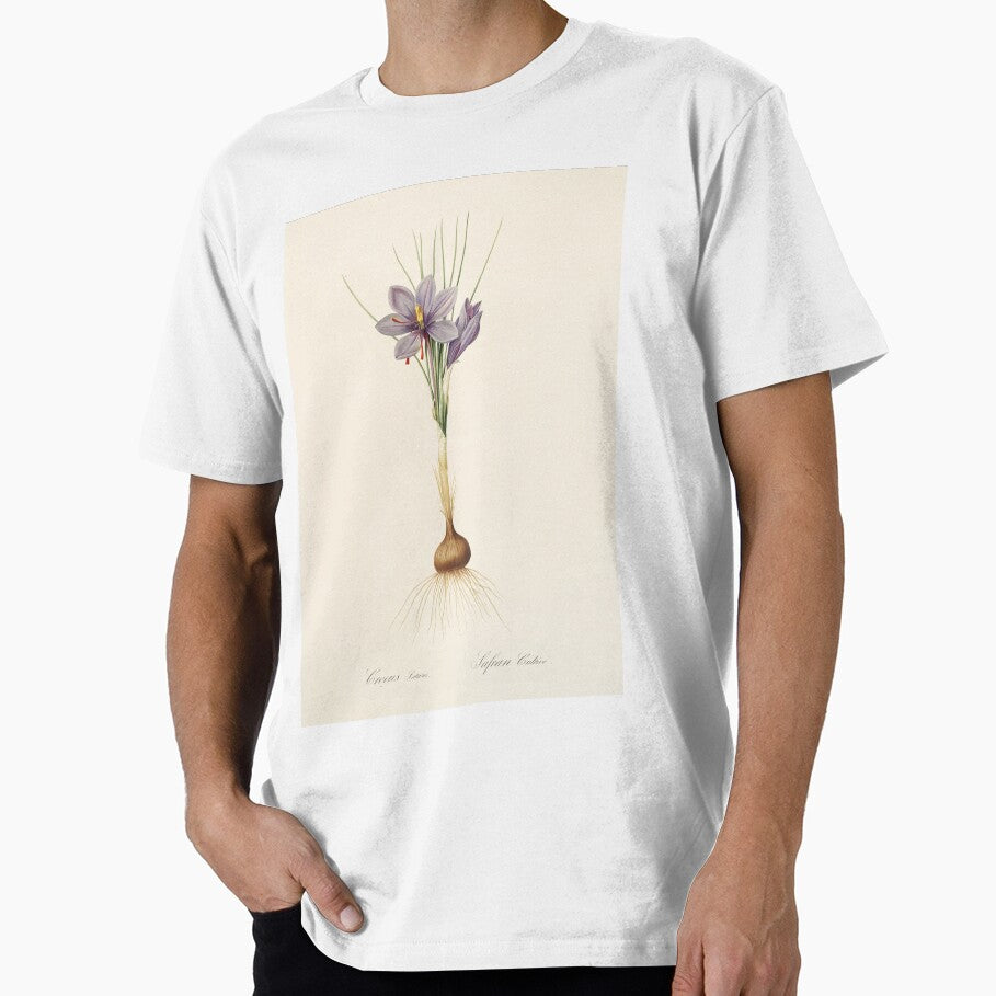 Saffron crocus - Crocus sativus by FloraObscura