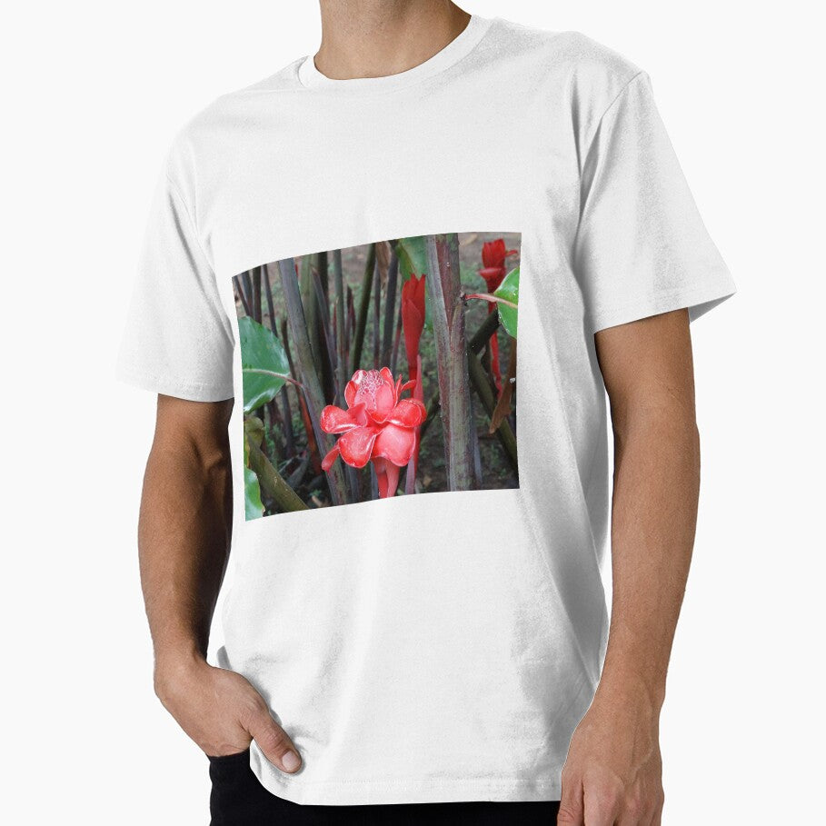 Tropical Blooms by John Gelletta