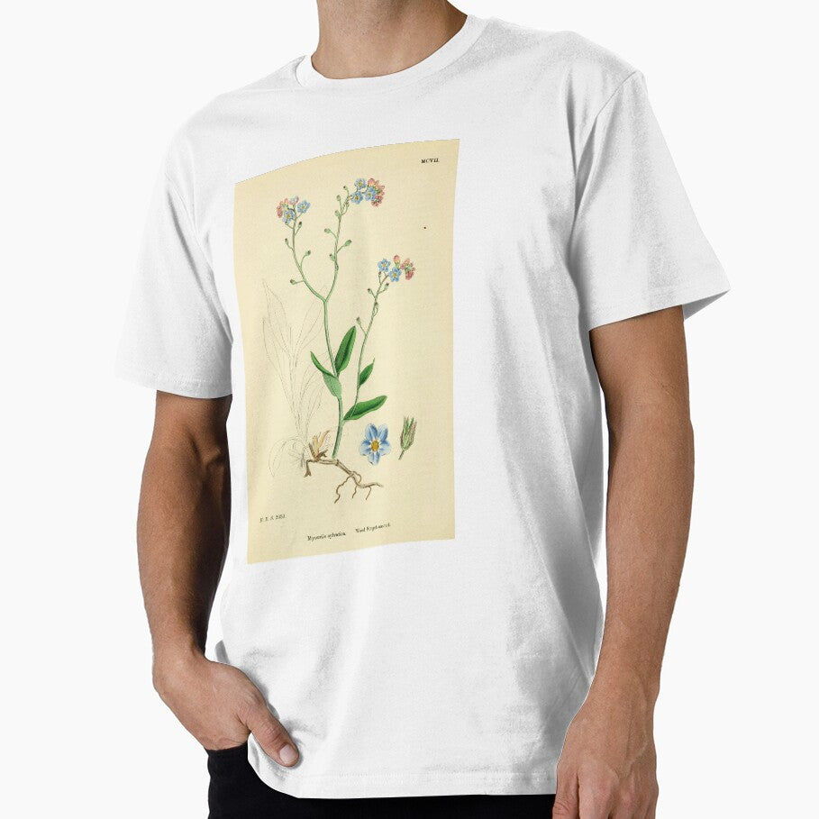 Forget me nots Illustration - Myosotis by FloraObscura