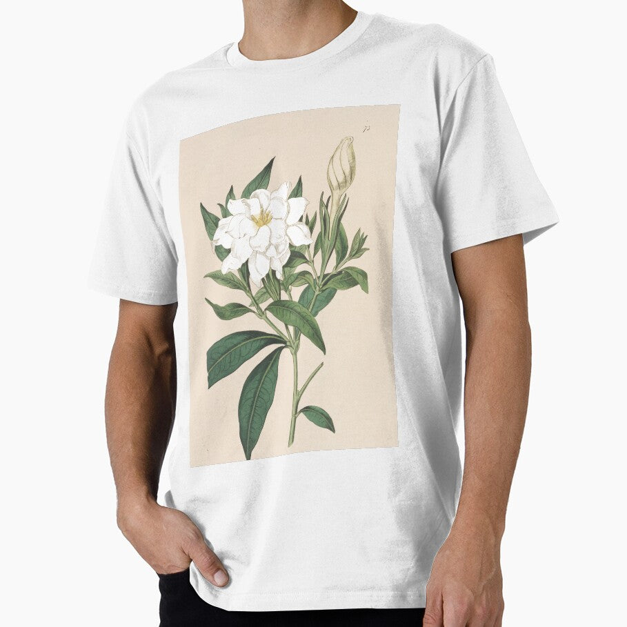 Cape Jasmine Illustration - Gardenia jasminoides by FloraObscura