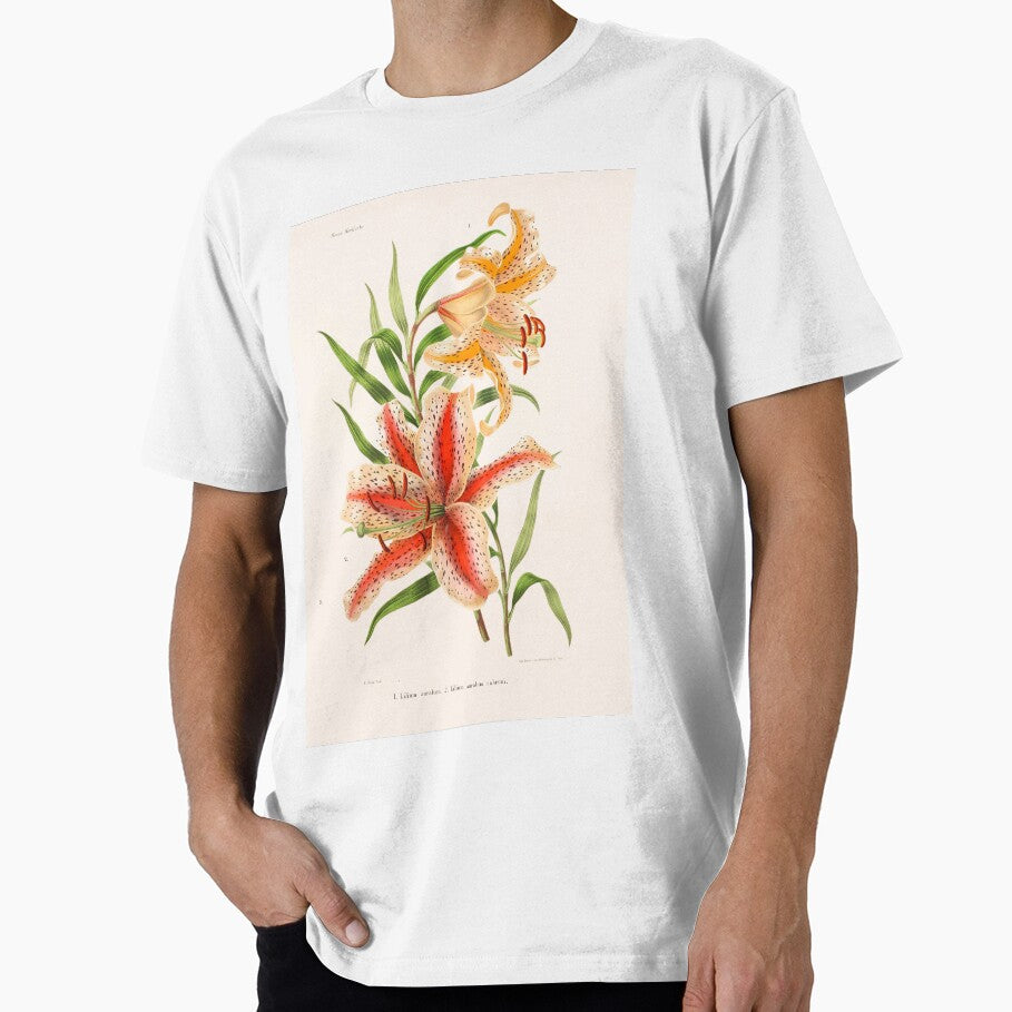 Golden-rayed lily Illustration - Lilium auratum by FloraObscura