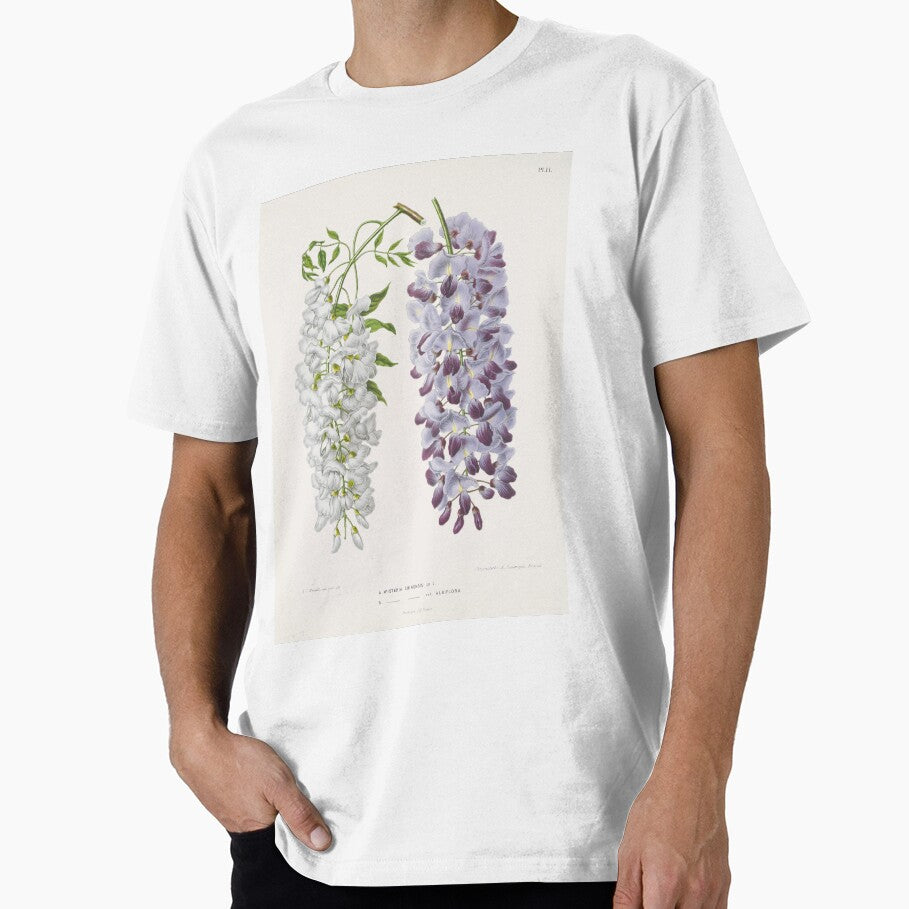 Wisteria sinensis Botanical Illustration by FloraObscura