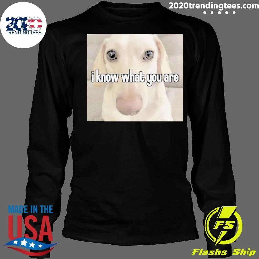 I Know What You Are Gay Pride Offensive Sarcastic Judgemental Dog Meme Tee Shirt