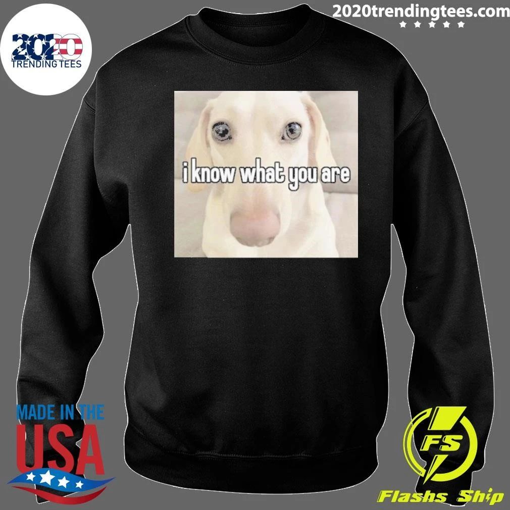 I Know What You Are Gay Pride Offensive Sarcastic Judgemental Dog Meme Tee Shirt