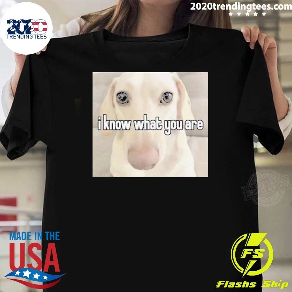 I Know What You Are Gay Pride Offensive Sarcastic Judgemental Dog Meme Tee Shirt