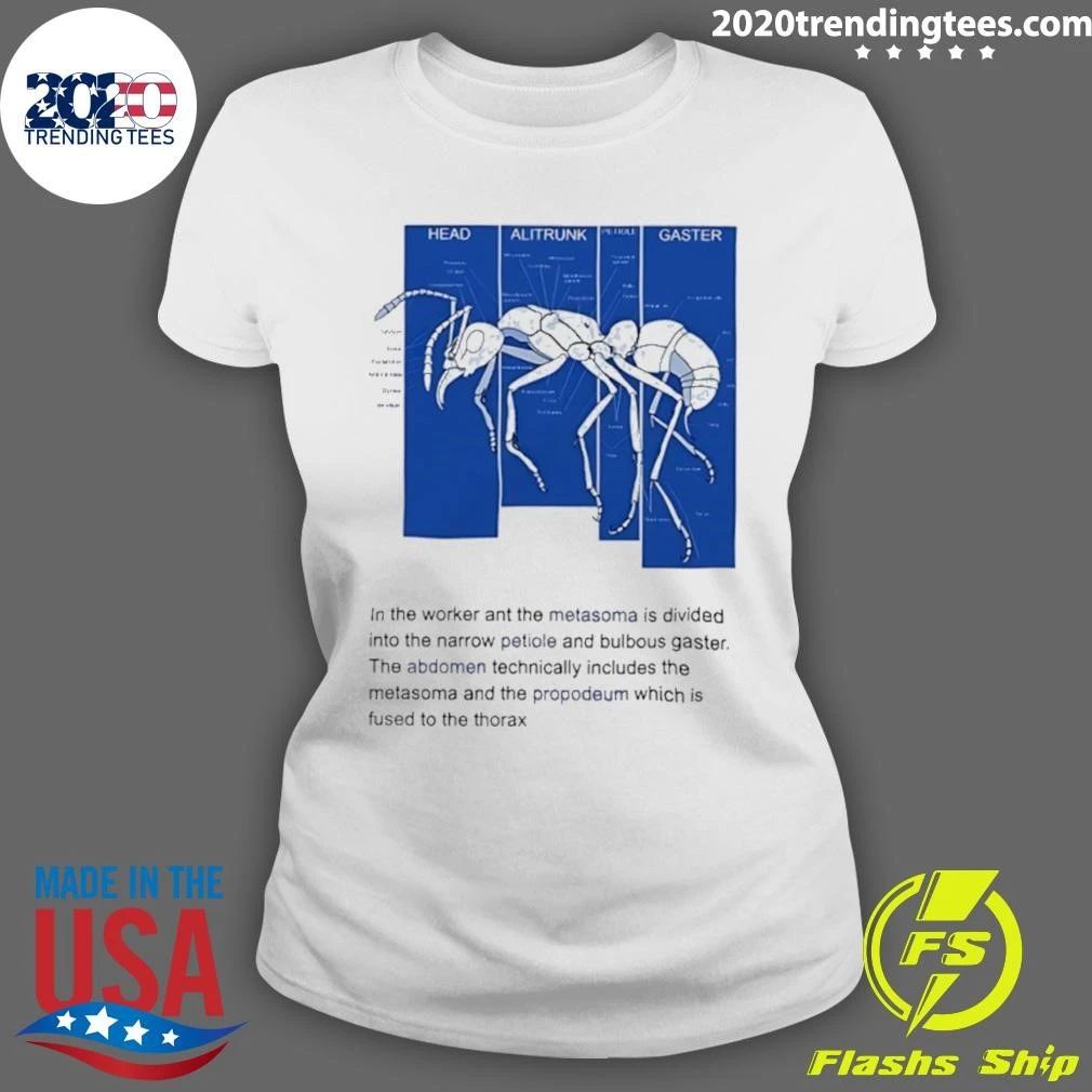 Ant Anatomy Diagram Entomology Biology Shirt