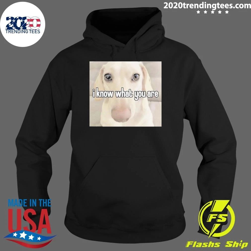 I Know What You Are Gay Pride Offensive Sarcastic Judgemental Dog Meme Tee Shirt