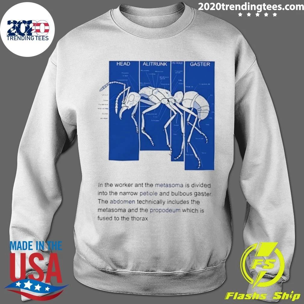Ant Anatomy Diagram Entomology Biology Shirt