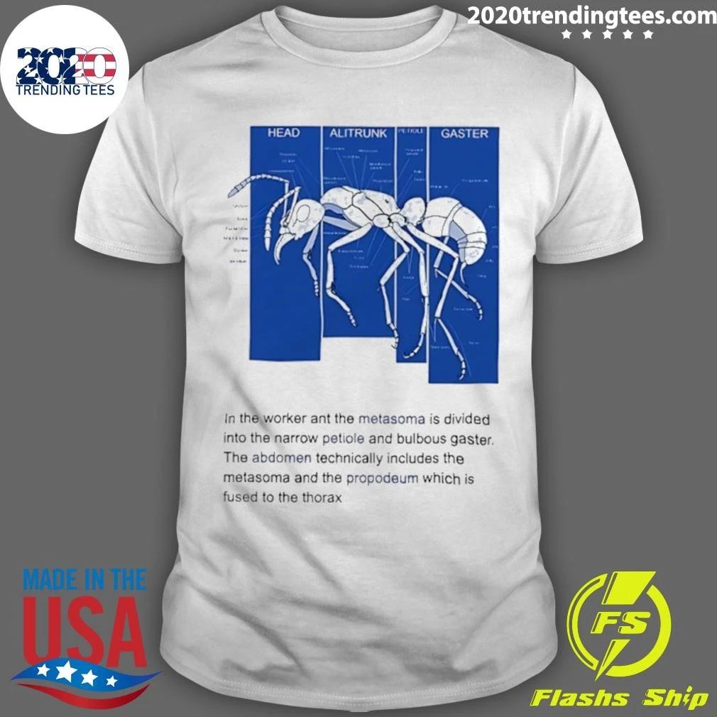 Ant Anatomy Diagram Entomology Biology Shirt