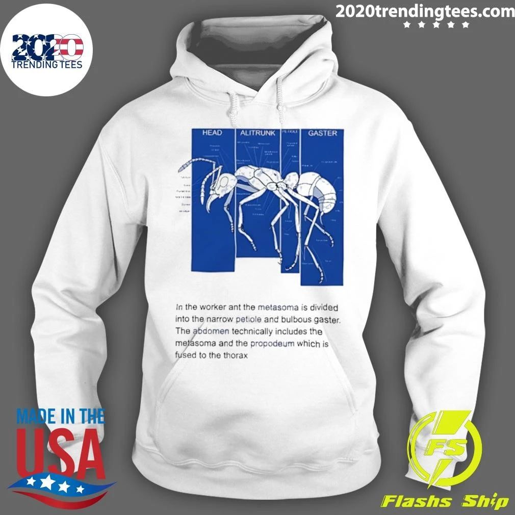 Ant Anatomy Diagram Entomology Biology Shirt